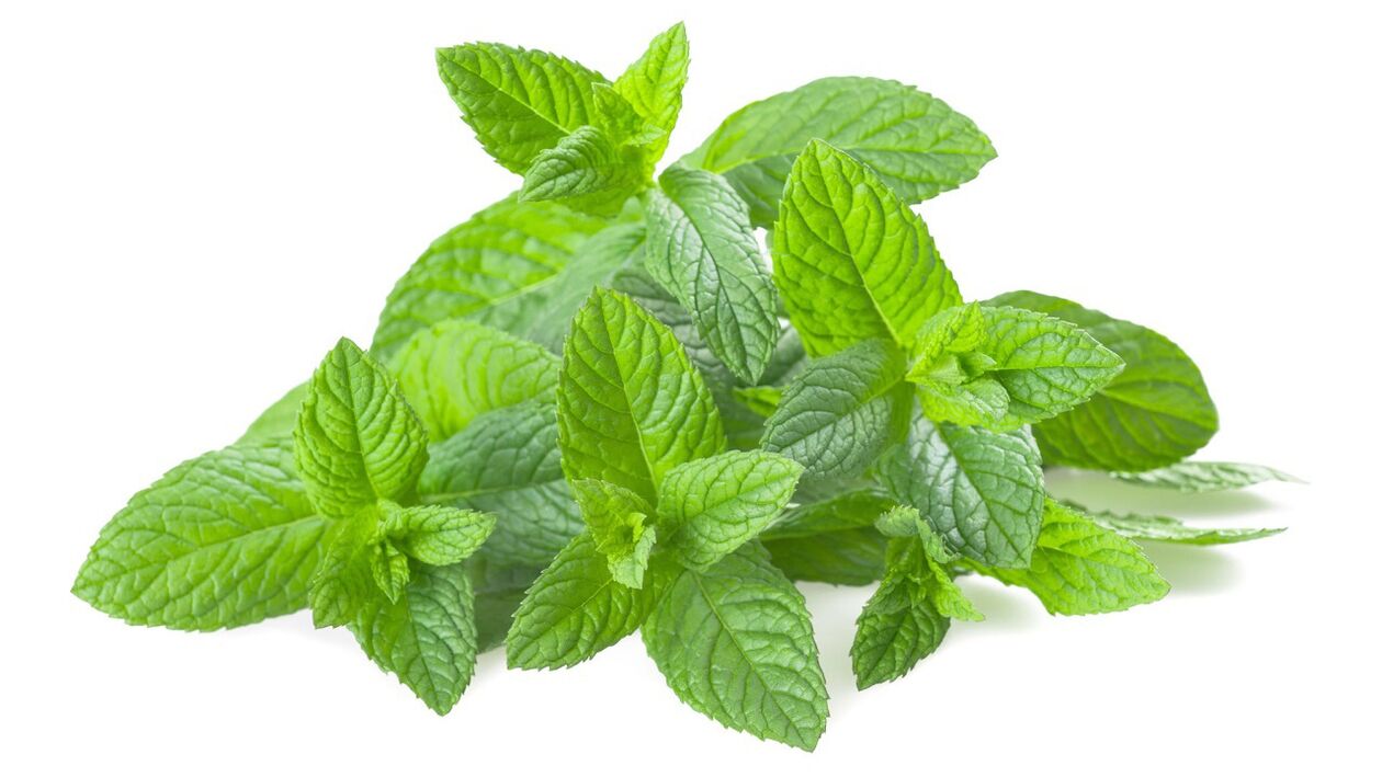 Extrakt citronového balzamu v Tonerin