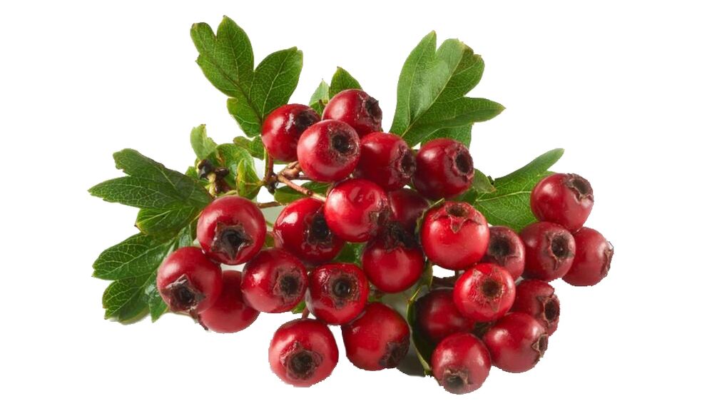 Hawthorn na Tonerin